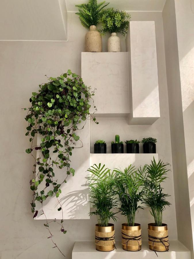 Apartamento T1 No Centro Te-U ตอร์เรส เวดรัส ภายนอก รูปภาพ